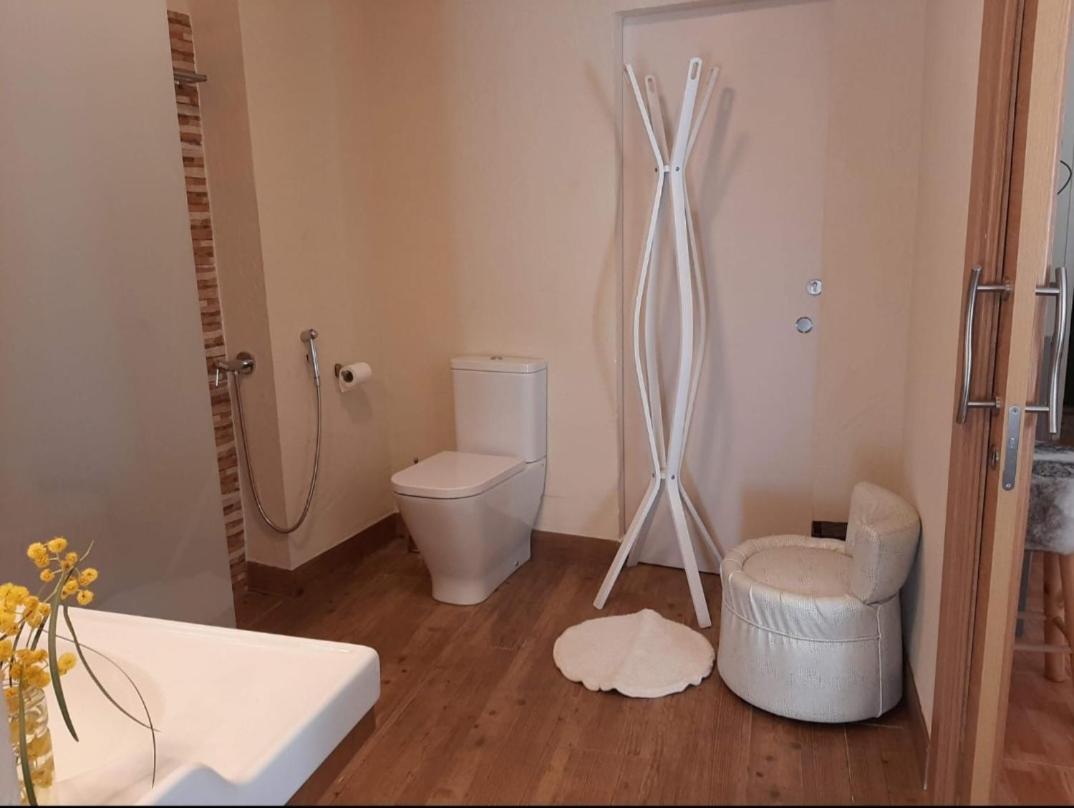 Comodo Apartamento Deltebre Exterior photo